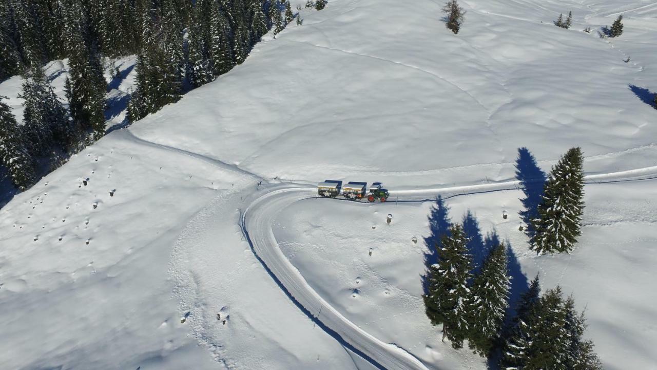 Ski In-Ski Out - Gaestehaeuser Saalbach-Hinterglemm - Wallegghof Christianhof Buitenkant foto